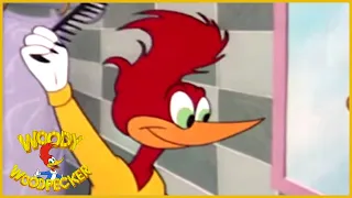 woody woodpecker real gone woody woody woodpecker full episodes videos for kids