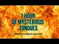 Download Lagu 1 Hour Of Heavy Tongues🔥😭 - Apostle Joshua Selman