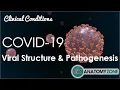 Lagu Coronavirus COVID-19 | Viral Structure \u0026 Pathogenesis