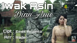 Download Iwak Asin - Dian Anic Lagu Tarling Enak Terbaik MP3