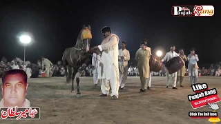 naseeb ll all pakistan best hore dance meerik sial shorkot day 1st 2019 palat 7