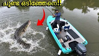 മീൻ വറുത്തതും കപ്പയും പിന്നെ കൂട്ടുകാരും..ആഹാ അടിപൊളി..|Fishing & Cooking | Fishing Freaks 