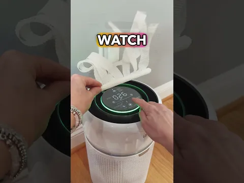 Levoit Eleva 300X Air Purifier After 1 Month: Worth It for Allergies?