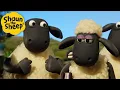 Lagu Doctor Sheep 🐑 Shaun the Sheep 🐑  - Cartoons for Kids 🐑 Full Episodes Compilation [1 hour]