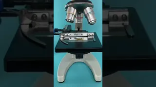 الأندومي تحت الميكروسكوب    دندنها