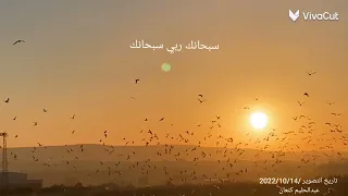 أجمل حالات وتس سبحانك ربي سبحانك دندنها