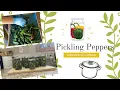 Pickling peppers Open Kettle Canning Process