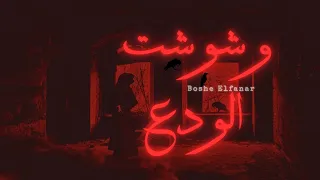 مهرجان وشوشت الودع بوشي الفنار و وحيد المصري واحمد العربي توزيع احمد رمضان مهرجانات 2025 