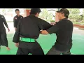 Mustika Kwitang-Indonesian Martial Art 1# Form