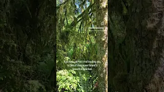 Miracle Beach Provincial Park offers beautiful walking trails and  the most amazing sandy beach!