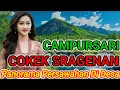 Download Lagu PRING KUNINGE LUR CAMPURSARI COKEK SRAGENAN MANTEP MANTUL BANGET