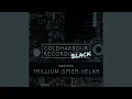 Download Lagu Trillium