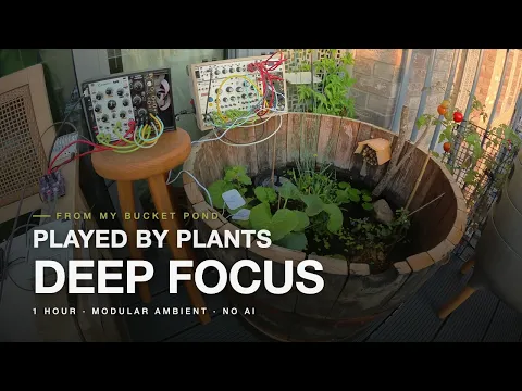 Caltha · 1 Hour of Ambient for Focus & Reading · Modular Synth Played by a Pond Plant (No AI)