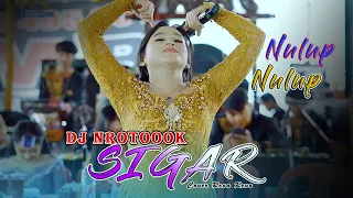 sigar versi dj nrotok nulup nulup cover reva kmb gedrug am pro audio live tasikmadu