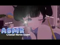 Lagu ASMR 🧠 Cranial Nerve Exam【VRChat】