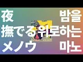 너무 늦었지만, 잘 지내🌙: 아야세(요아소비) - 밤을 위로하는 마노(夜撫でるメノウ) [가사/한글 발음/해석]
