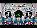 DJ Already Gone X Somebody That I Used To Know
