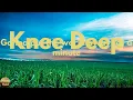 Zac Brown Band - Knee Deep (feat. Jimmy Buffett) (Lyrics)