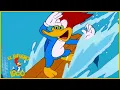 Download Lagu El Pájaro Loco en Español | Surfeando con Meany | Dibujos Animados en Español
