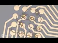 What Is Microelectrode Array MEA Technology How MEA Assay Works