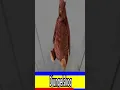 Download Lagu SCP 3008 ROBLOX GAME VS REAL LIFE #shorts
