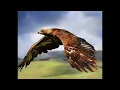 Montgomery Gentry - Didn't I - HQ - Lyrics