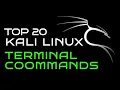 Top 20 Kali Linux Commands for Beginners Complete Hindi Tutorial