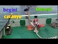 Download Lagu Begini panjangkan tali toing manual