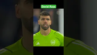 This Is How David Raya Deal With Crosses 