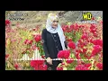 Download Lagu House Music Aceh - Bungong _ Nyawong