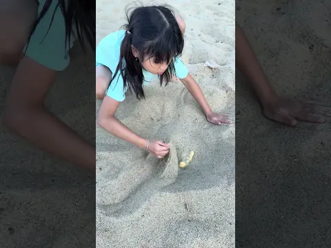 LNS - Em gái tội nghiệp bị mất gấu bông || Sister vs Sister: Poor little girl #shorts