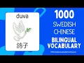 Learn Swedish Chinese 1000 Bilingual Vocabulary for Beginners Lara sig Svenska Kinesisk