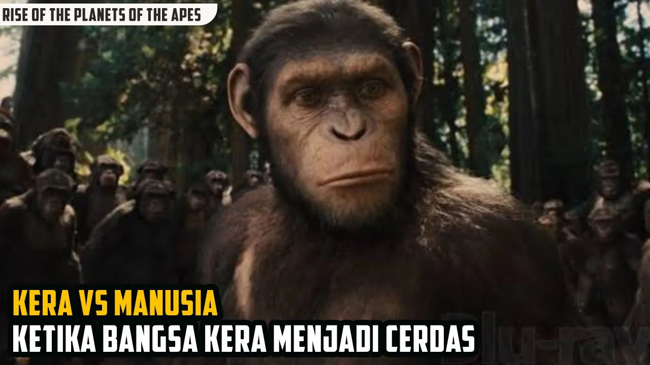 KETIKA BANGSA KERA MENJADI CERDAS ~ ALUR CERITA RISE OF THE PLANET OF THE APES poster