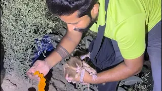 जुड़वा बच्चों की माँ का अंतिम सस्कार 