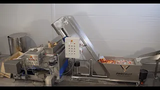 3000 Fruit Processing Line High-capacity Premium Juice Production ProFruit Machinery
