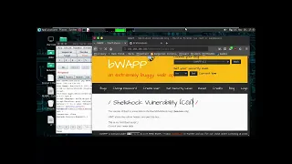 A9 Using Known Vulnerable Components - Shellshock Vulnerability CGI