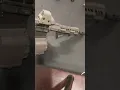 Fostech Echo Sport Binary Trigger function check after install