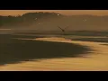 Rodriguez I WONDER 1970 official video clip, musique pub orange pro