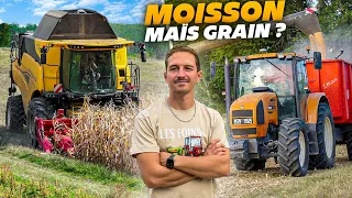 LE MAÏS C'EST FINI J'ARRETE !