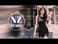 (เบสแน่นๆ) เพลงแดนซ์มันๆ ฟังสบายๆ ชิวๆ #กำลังฮิตในTikTok (Mini-Nonstop V.102) (NZ REMIX) #djnzremix