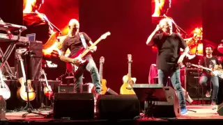 אבי סינגולדה סולו Hotel California מתוך ההופעה של שלמה ארצי 