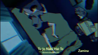 tu jo nahi hai to slowed reverb zamina