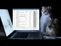 Insert multiple rows Bulk Insert Commit Rollback Transact-SQL SQLBulkCopy TVP OOP C