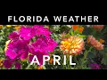 Florida Weather April