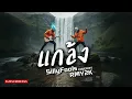 แกล้ง - Silly Fools (Cover by RMY2K)