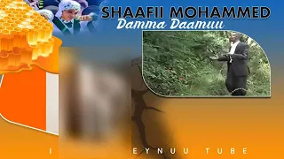 Shaafii Mahammad DAMMADAAMUU Old Jimma Music  Shaafii Mahammad DAMMADAAMUU Old Jimma Music