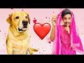 Download Lagu Leo ki Dulhan | Shaddi prank on my dog | Anant Rastogi