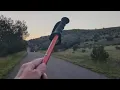 Download Lagu DAVIS MOUNTAINS STATE PARK TEXAS...morning walk