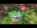 Spectracide Triazicide Insect Killer 3 Day Review