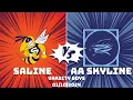 Saline Hornets vs AA Skyline Eagles Boys Varsity 2024